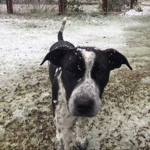 Meet your Posher, Evan